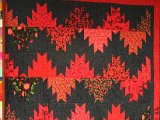 IMG_3469.JPG