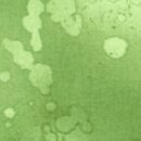 fossil fern 2.1881 meadow green