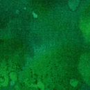 fossil fern 2.1982 spinach